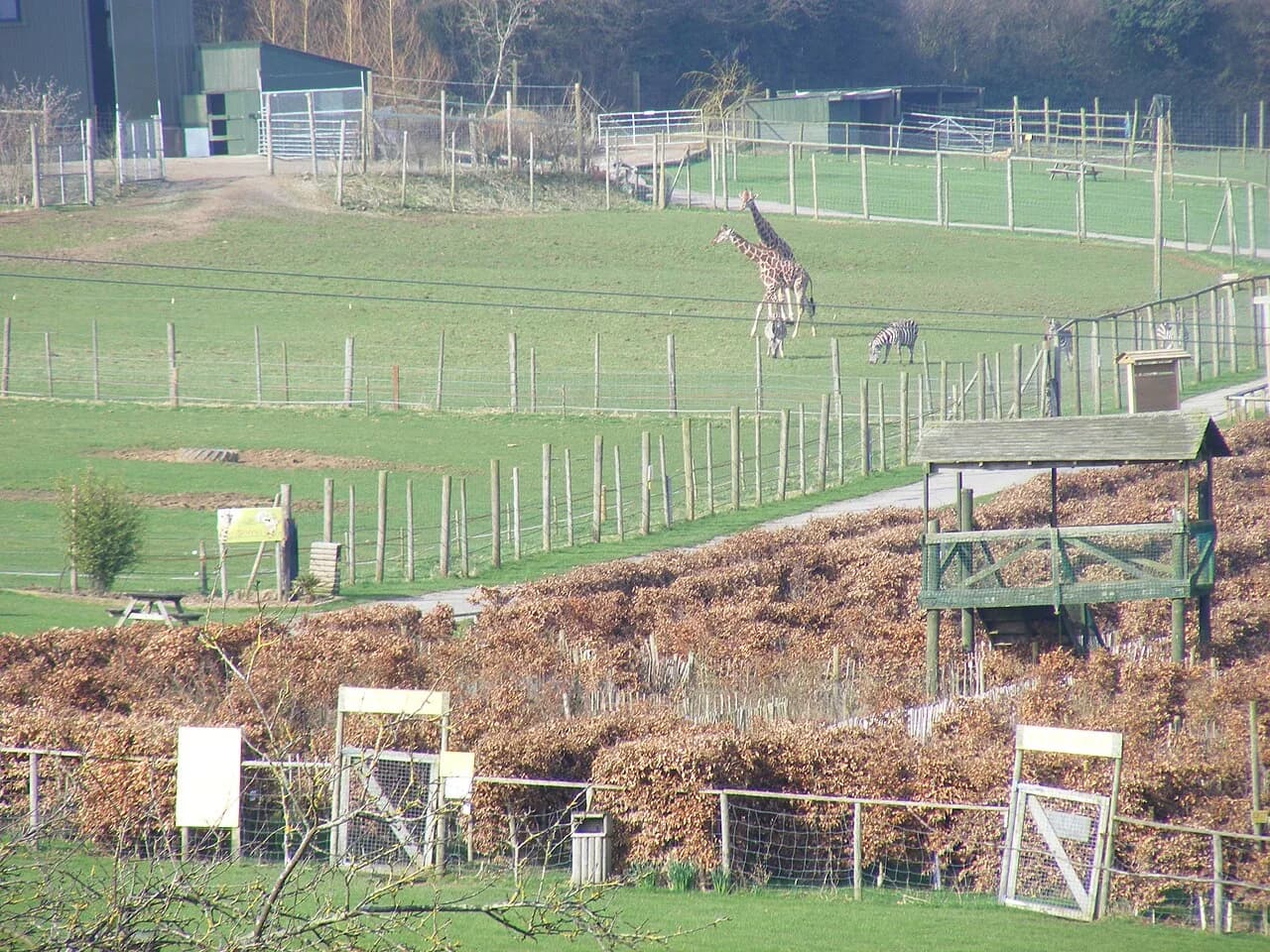 Noahs Ark Zoo Farm