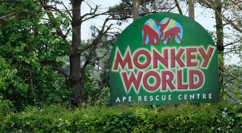 Entrance sign to Monkey World Ape Rescue Centre in Dorset