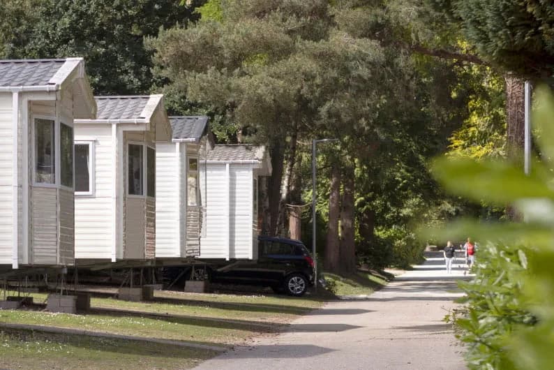 Static caravans set in woodland at Sandford Holiday Park, Poole