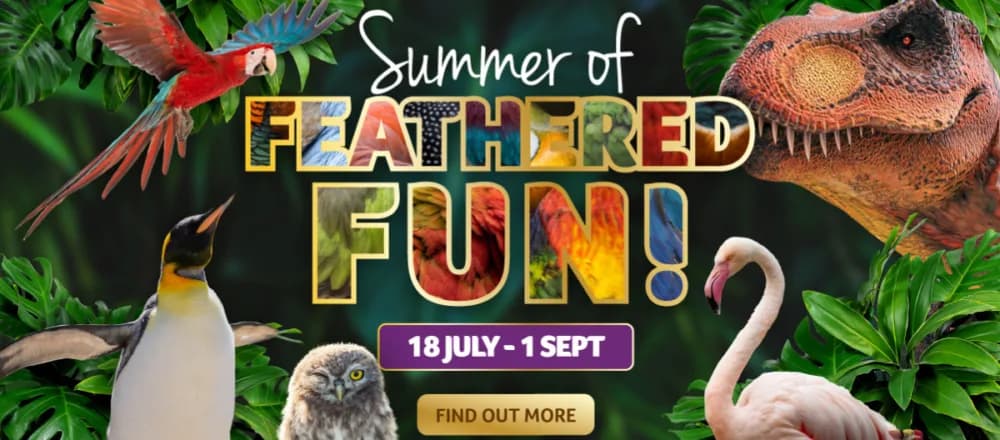 Birdland Park & Gardens summer attractions in Bourton-on-the-Water
