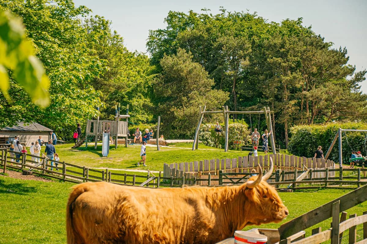 Families enjoying the hillside play area at Cotswold Farm Park