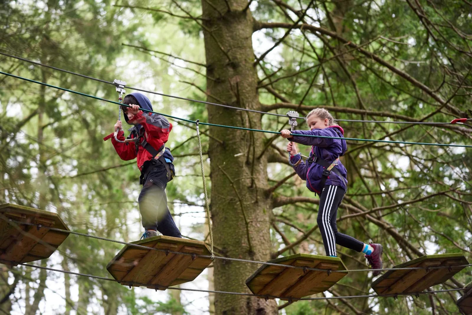 Two young people on a high ropes course at Go Ape Forest of Dean