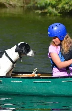 Forest of Dean Adventure Activities, Coleford