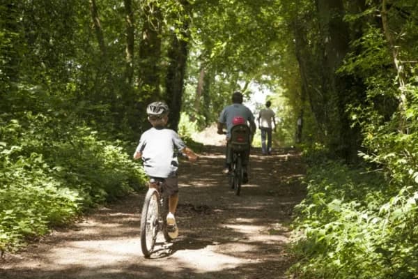 Family cycling through the forest at Hoburne Bashley