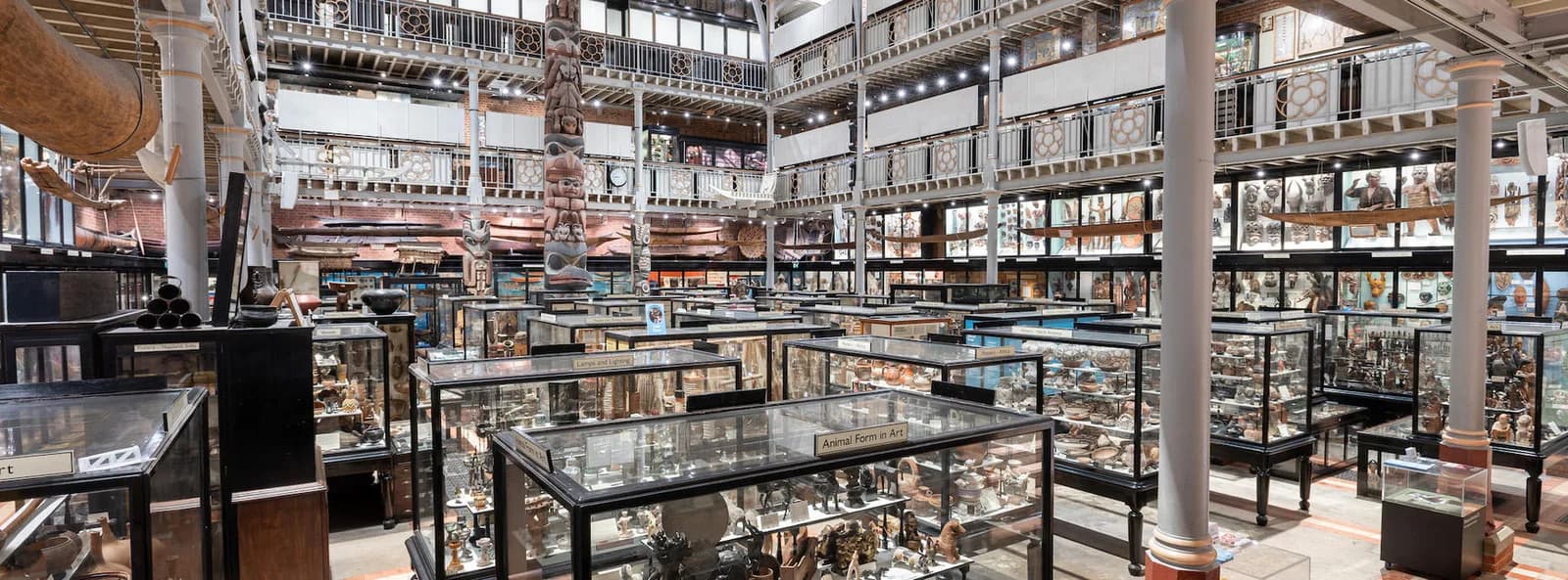 Pitt Rivers Museum interior in Oxford