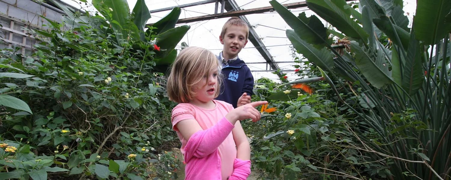 Butterfly World exhibit at Studley Grange with tropical butterflies