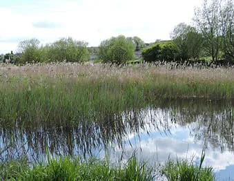 Avon Valley Nature Reserve, Salisbury