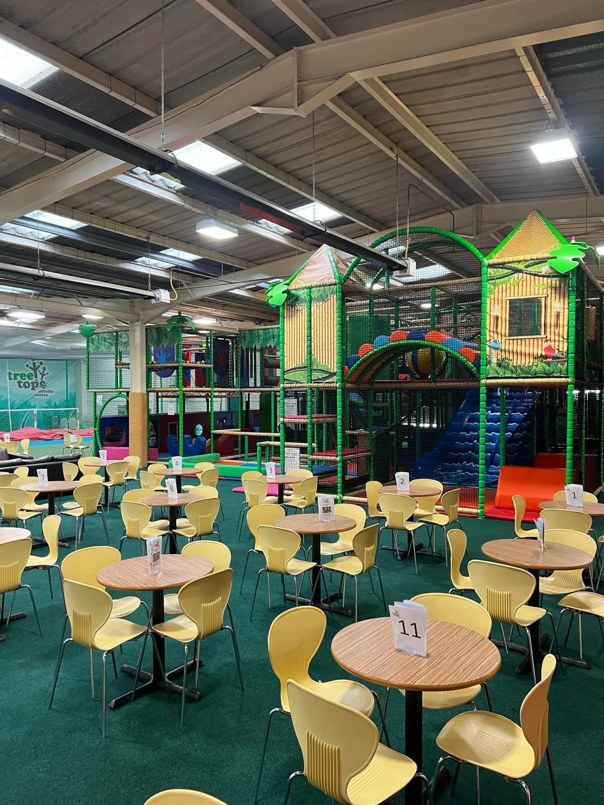 Multi-level soft play frame at Treetops Activity Centre