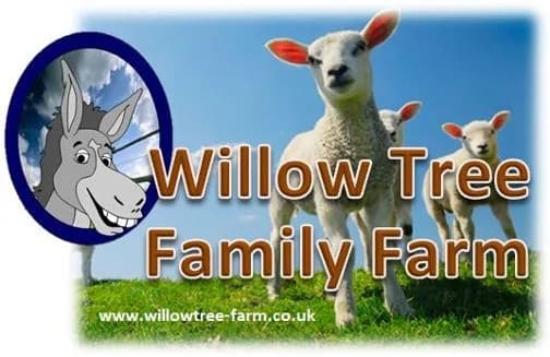 Willow Tree Family Farm outdoor animal area