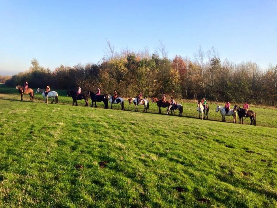 Line of riders on horseback trekking across a green field with autumn trees behind