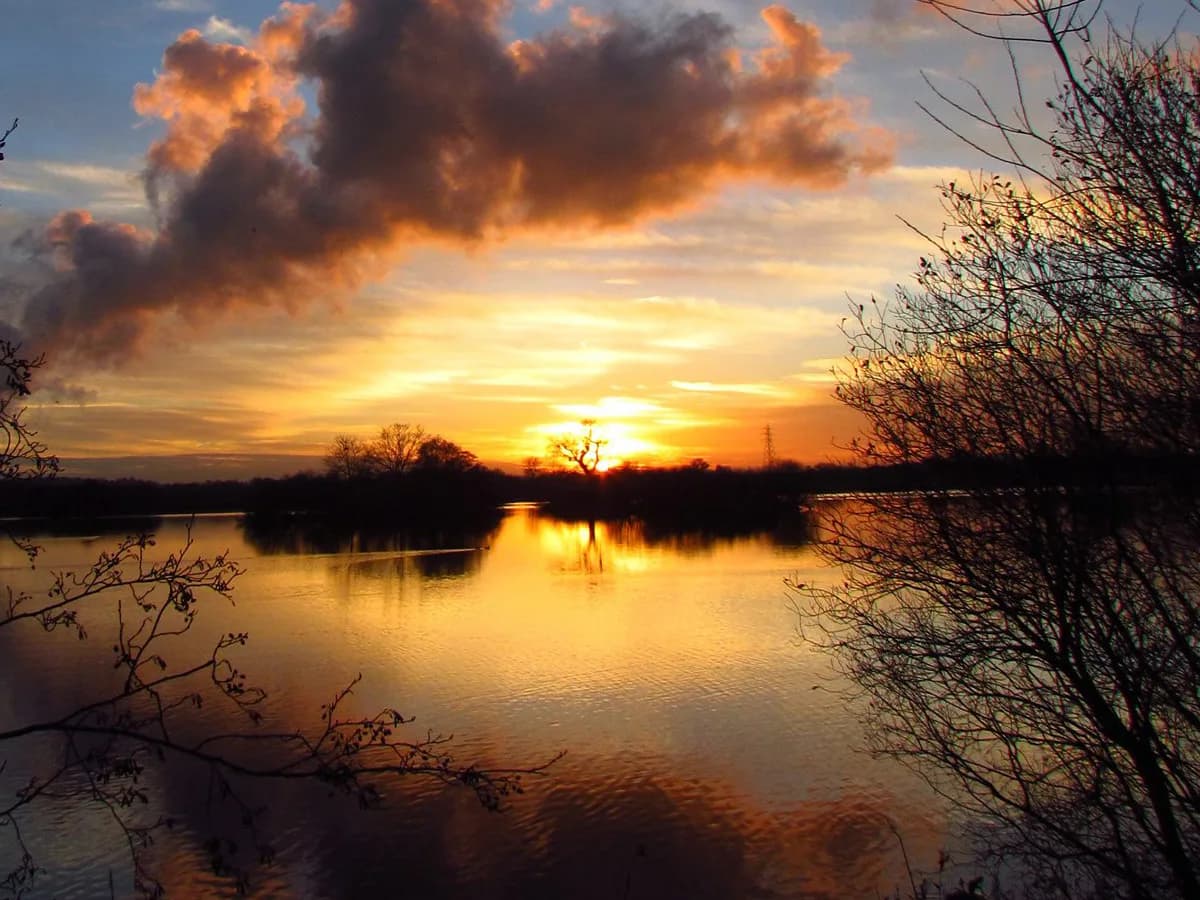 Attenborough Nature Reserve at sunset
