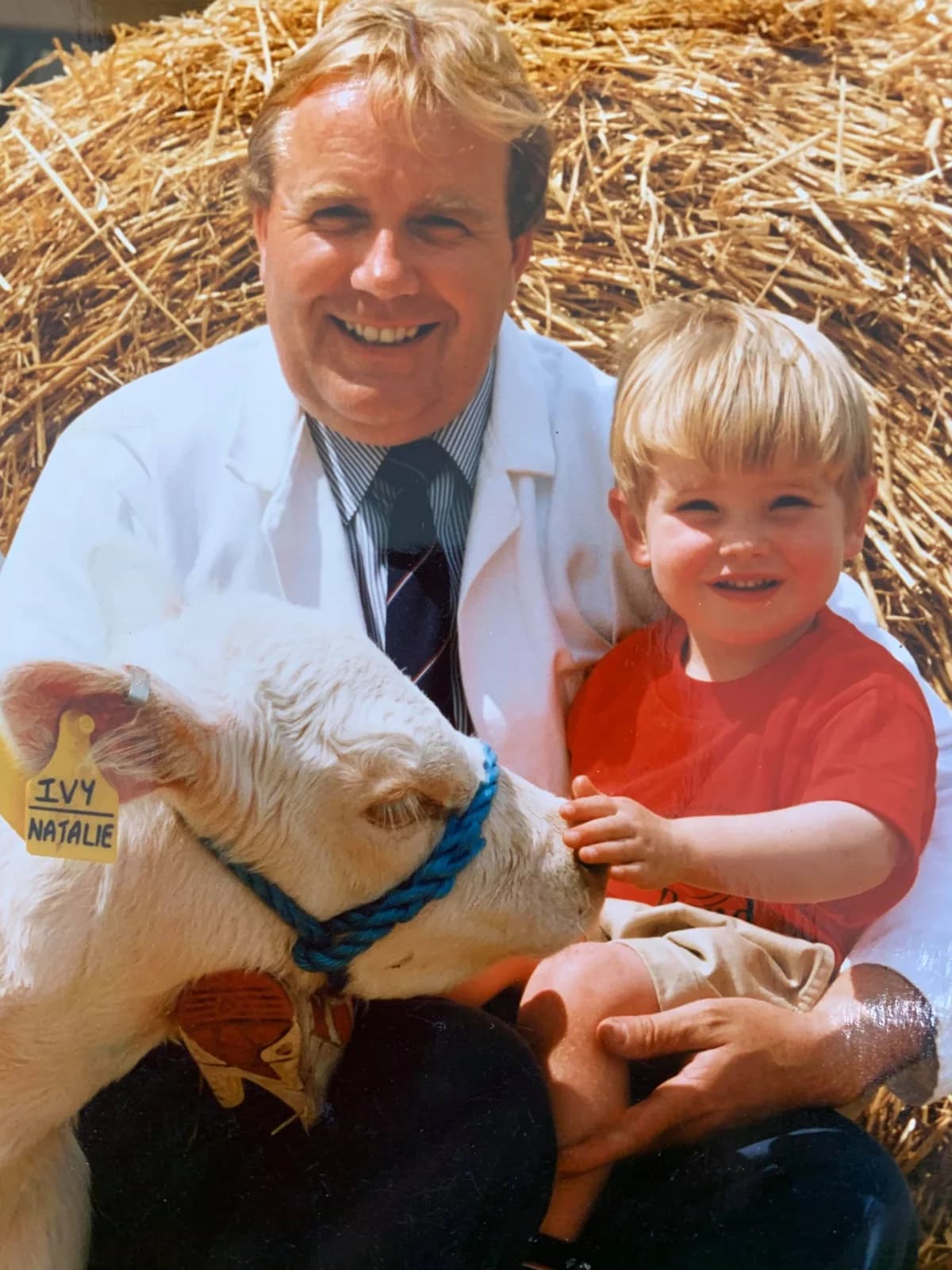 A child stroking a young calf at Rand Farm Park