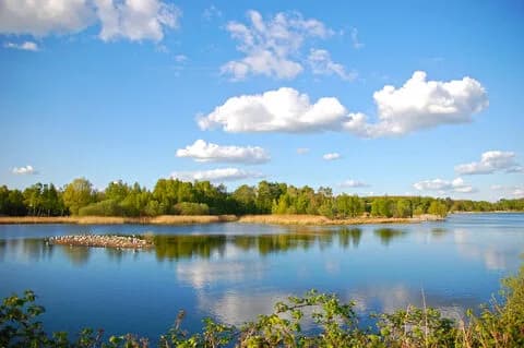 Grebe Lake at Whisby Nature Park with a bird colony on an island