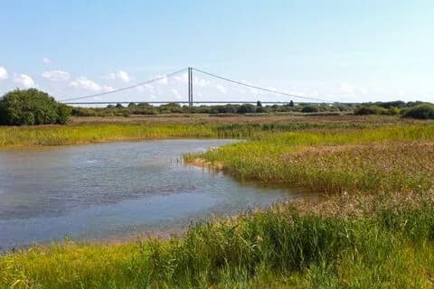 Reedbeds and pools at Far Ings National Nature Reserve, Barton-upon-Humber