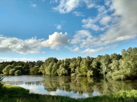 Pitsford Water Nature Reserve, Brixworth