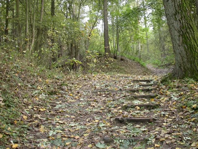 View of Irchester Country Park, a nature reserve and country park established on the site of a disused quarry in Wellingborough, Northamptonshire