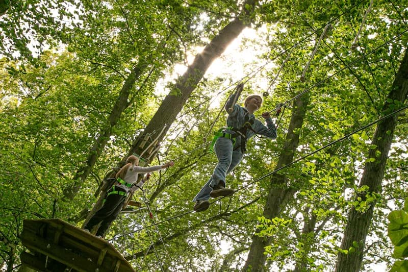 Go Ape Chelmsford Hylands Park treetop adventure