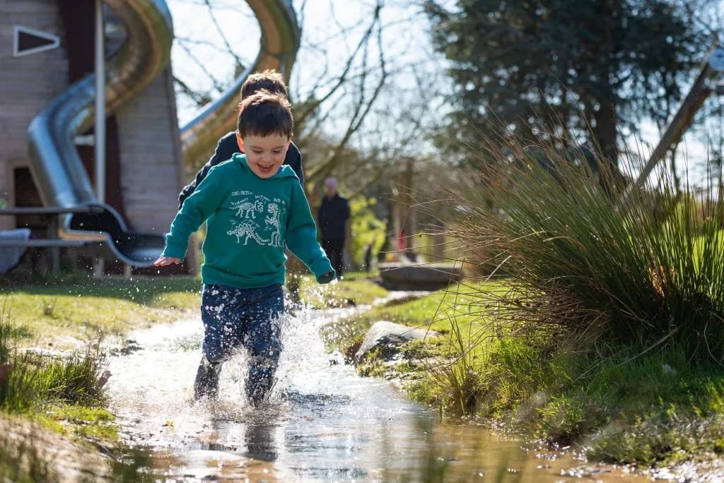 Children playing at WildRootz outdoor adventure play area at Pensthorpe
