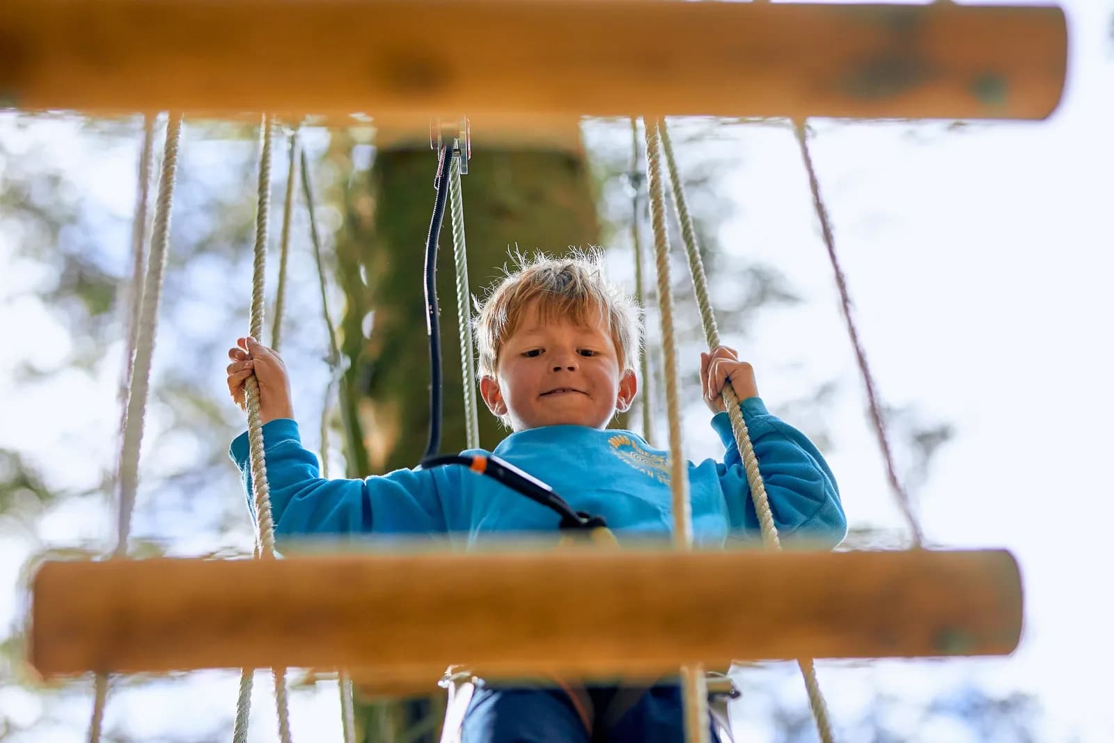 Child on the Treetop Adventure ropes course at Go Ape Thetford