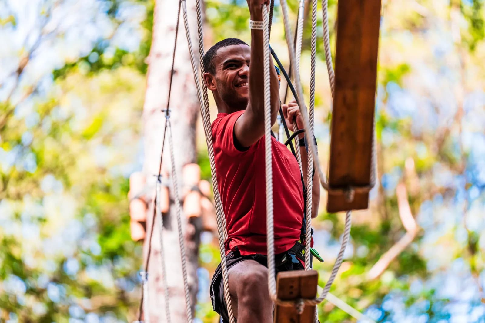 Treetop Challenge high ropes course at Go Ape Black Park
