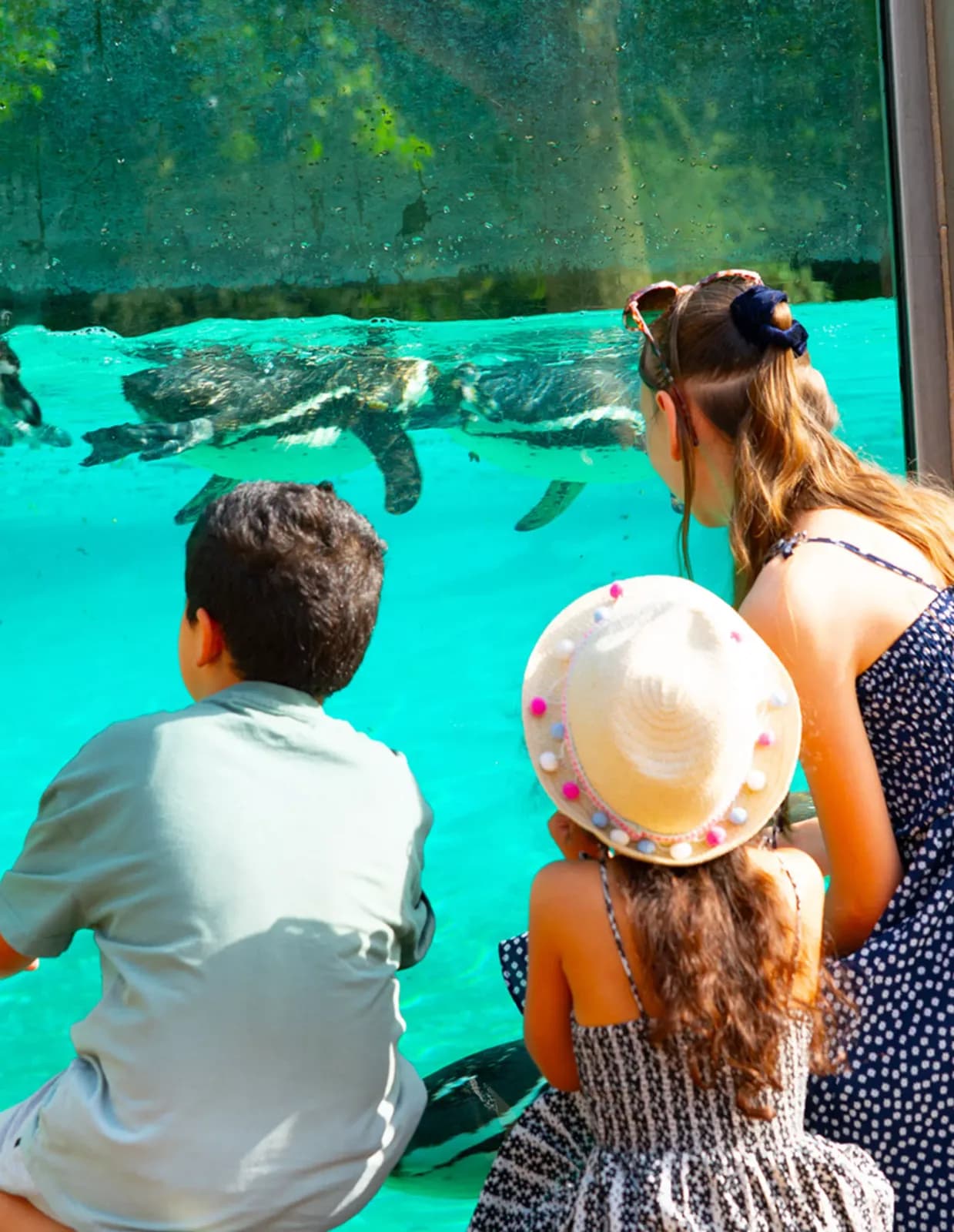 Children looking at penguins at London Zoo