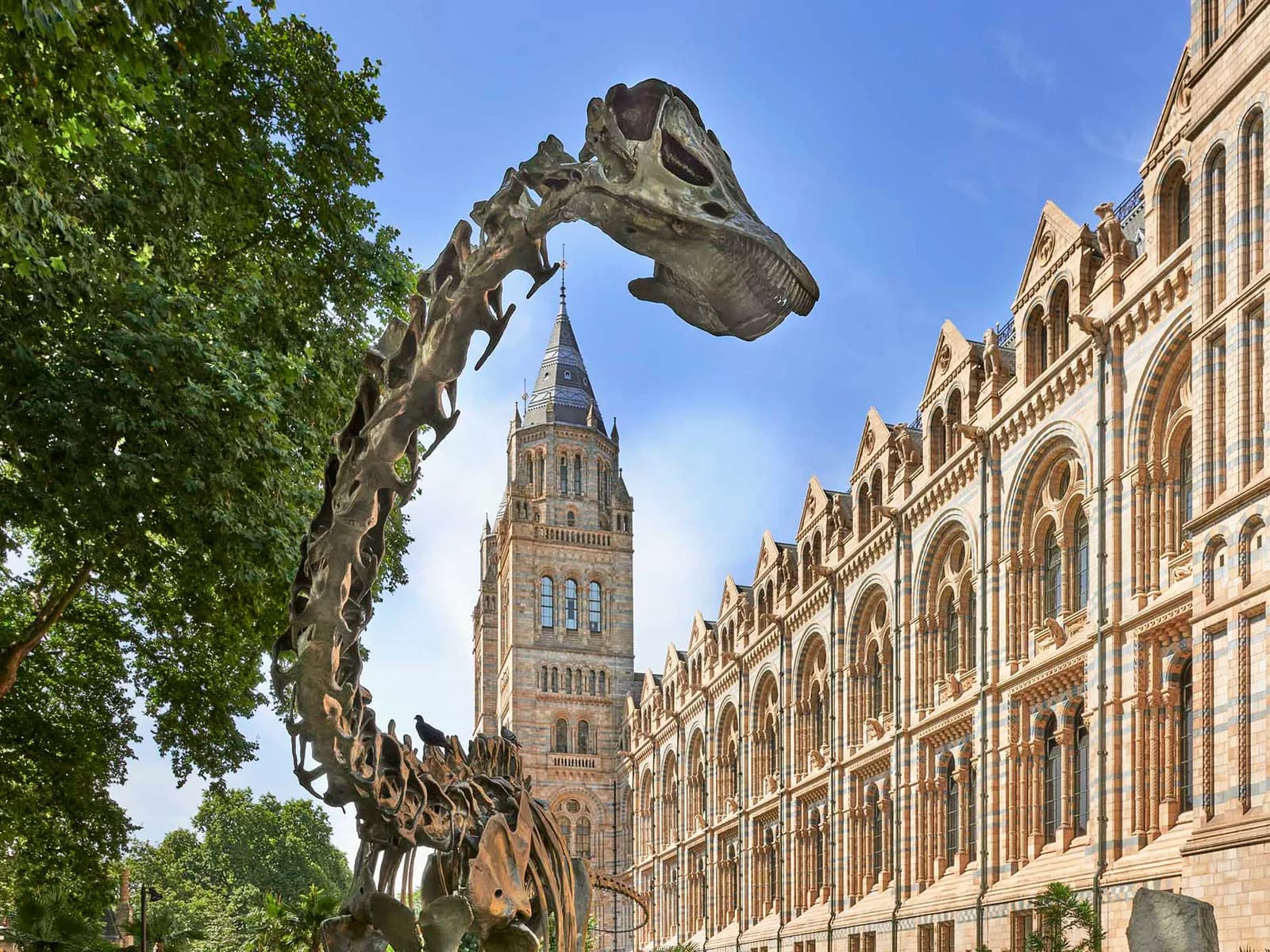 Natural History Museum, South Kensington