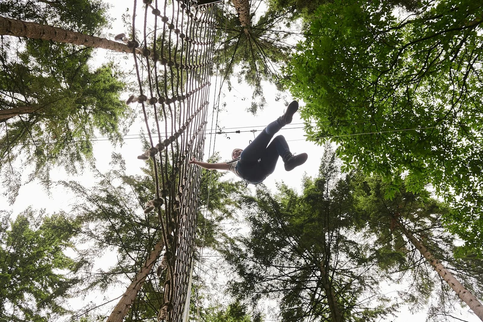 Person swings into a cargo net on the Go Ape treetop course at Cockfosters, Trent Country Park