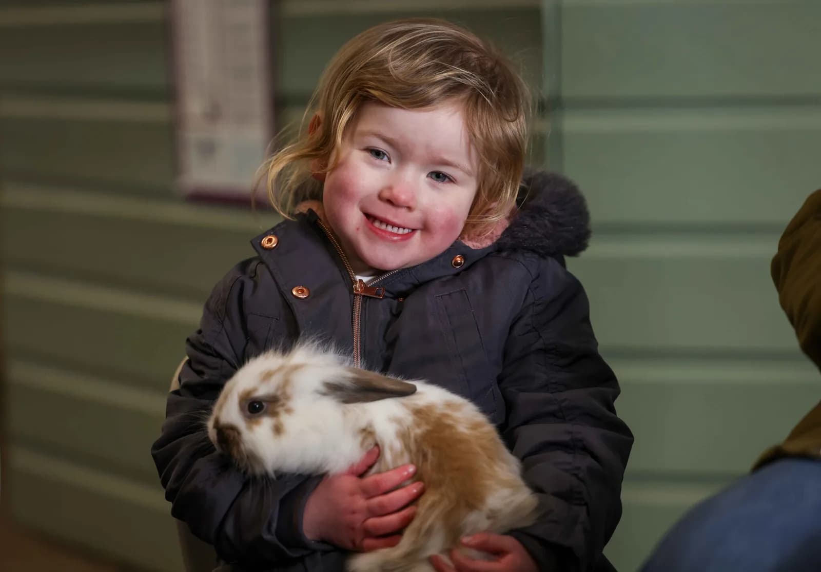 Petting a friendly bunny at Whitehouse Farm Centre