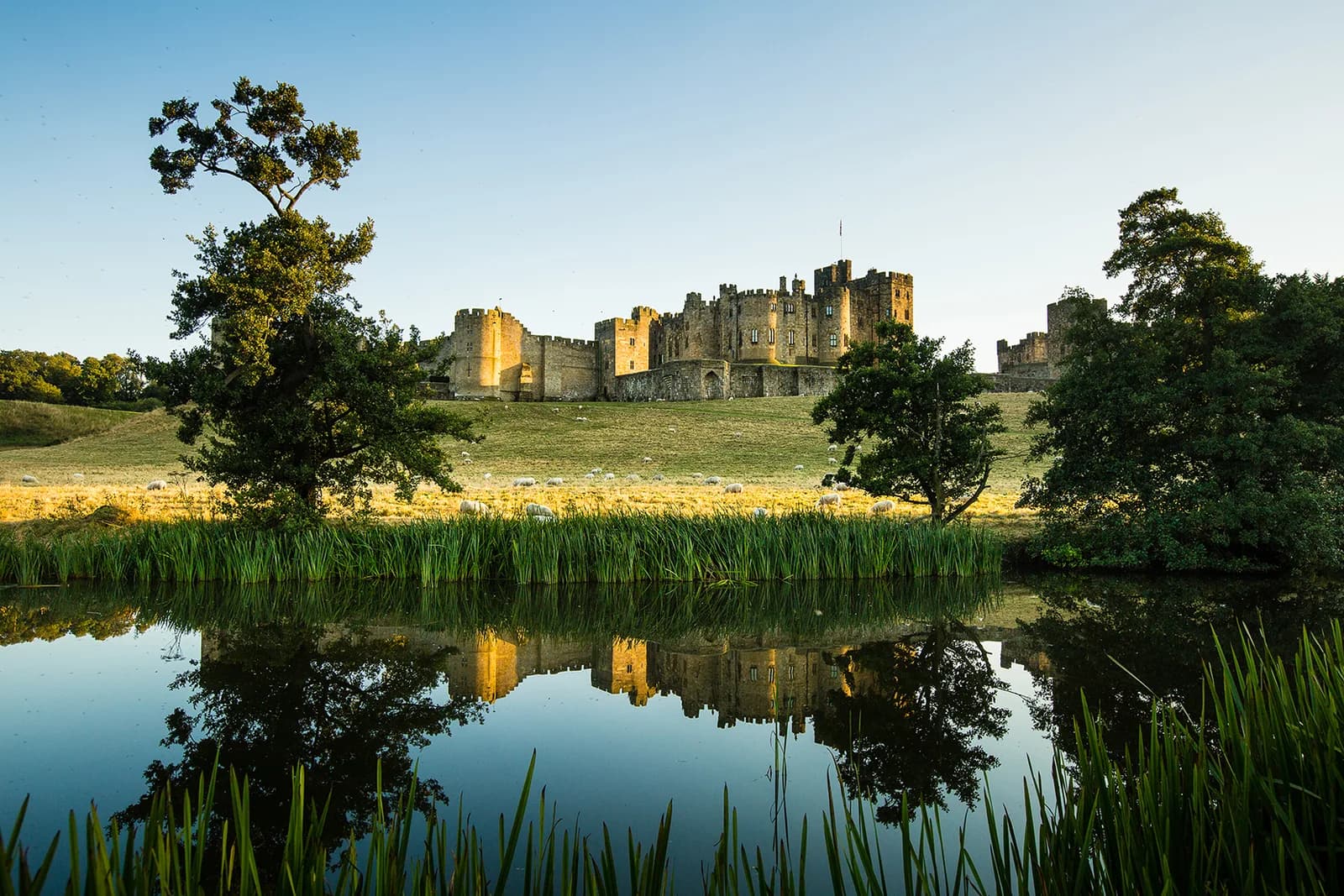 Alnwick Castle viewed from the pastures with river summer haze