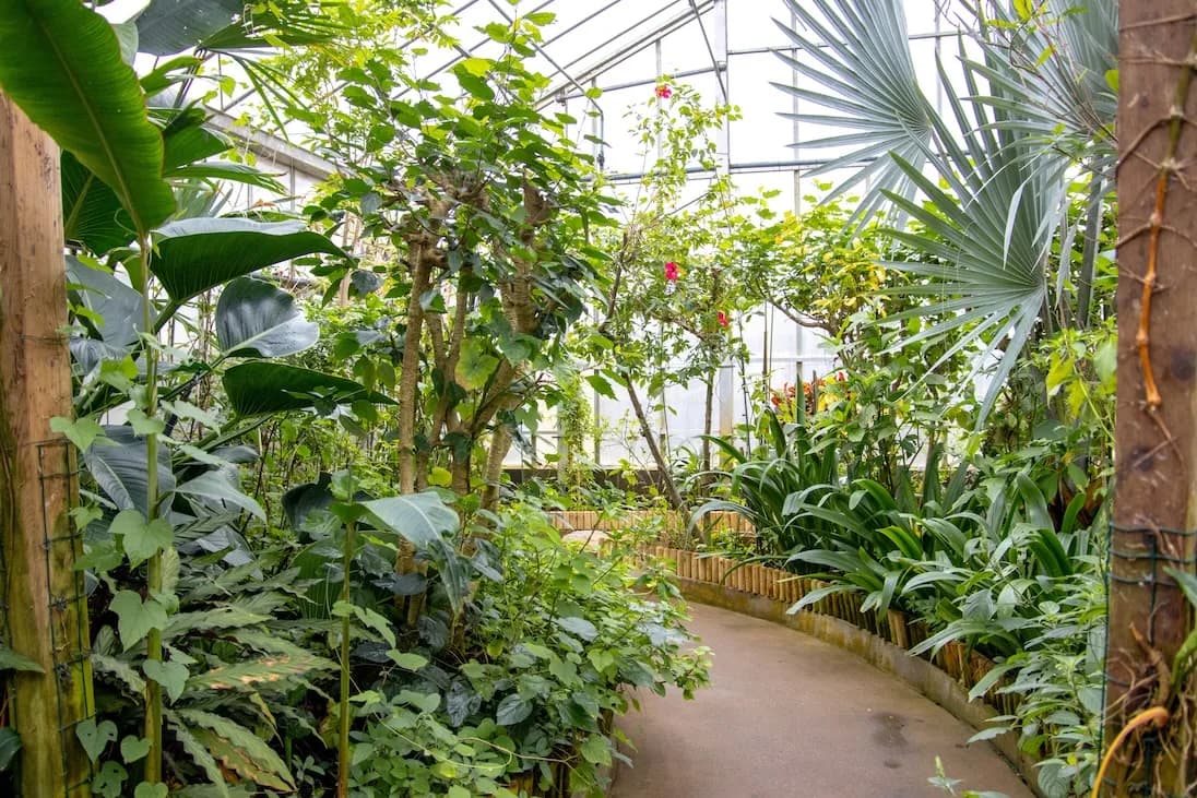 Butterfly World, Stockton-on-Tees