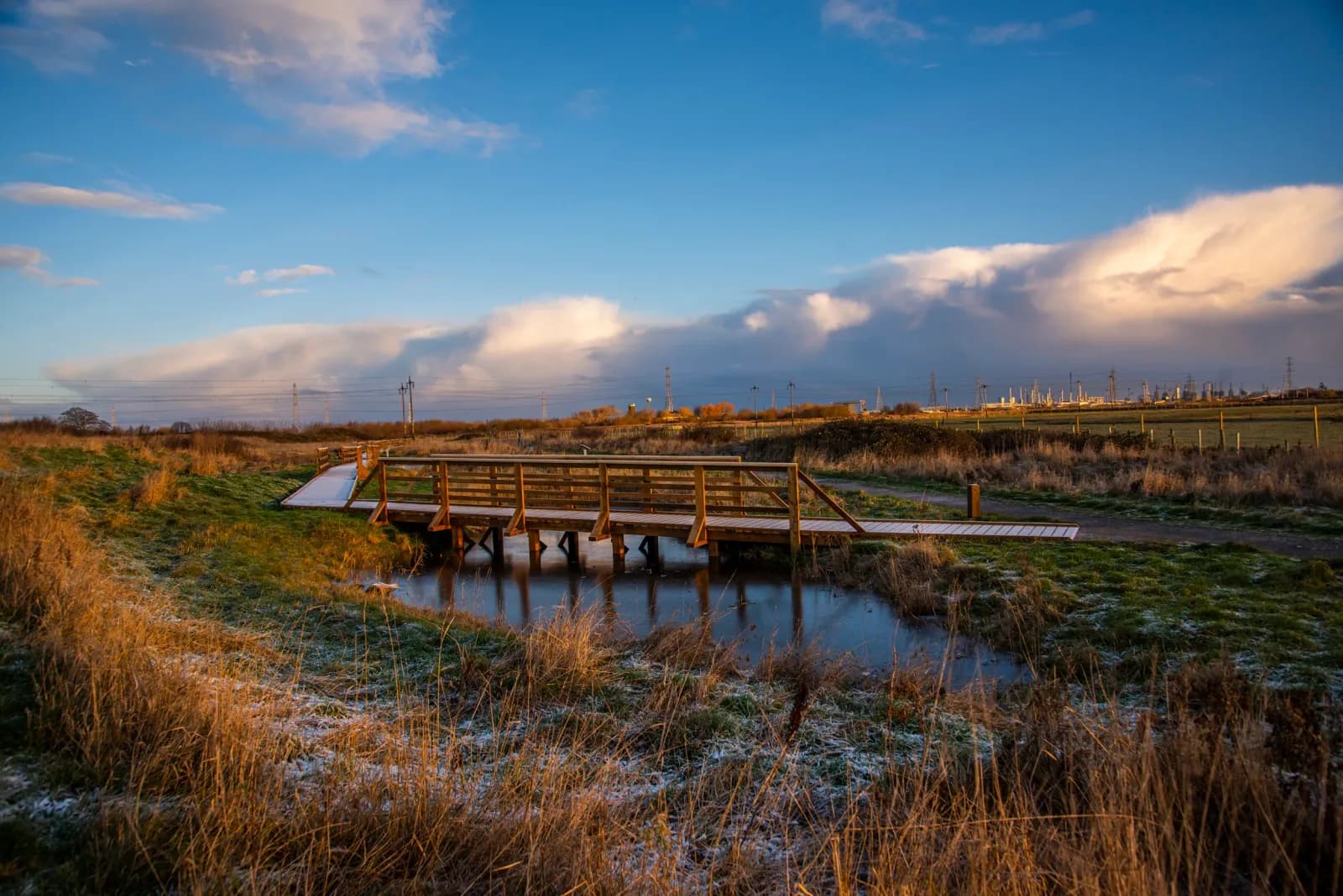 RSPB Saltholme, Middlesbrough