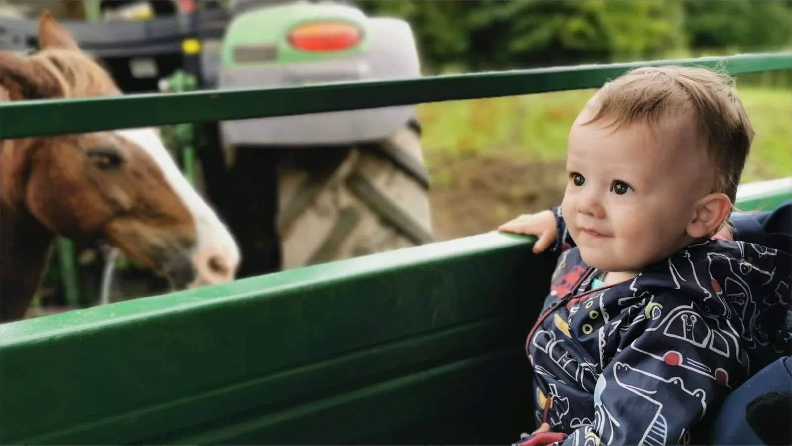 Toddler in a farm trailer watching a horse at Smithills Open Farm
