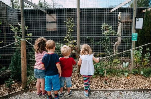 Children observing animals at Wild Discovery, Ribby Hall Village