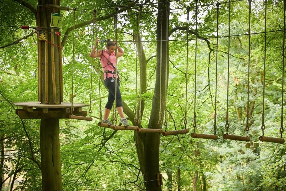 Go Ape Delamere Forest, Delamere