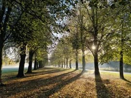 Marbury Country Park, Northwich