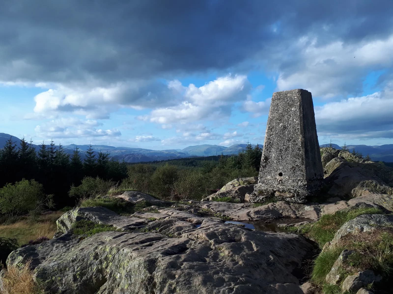 Grizedale Forest, Hawkshead