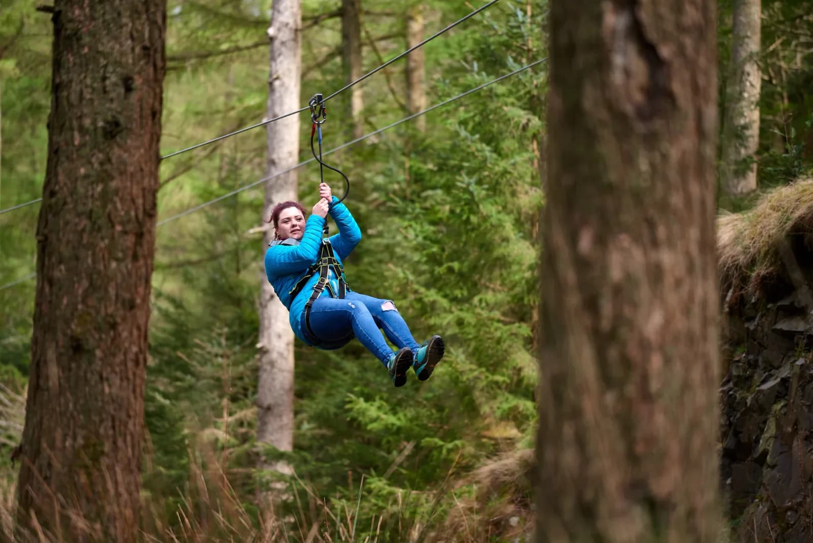 Go Ape Grizedale high ropes course in the Lake District forest