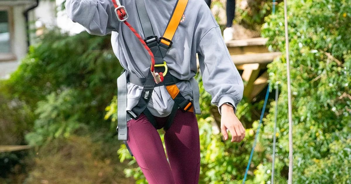 Brockhole Treetop Trek, Windermere