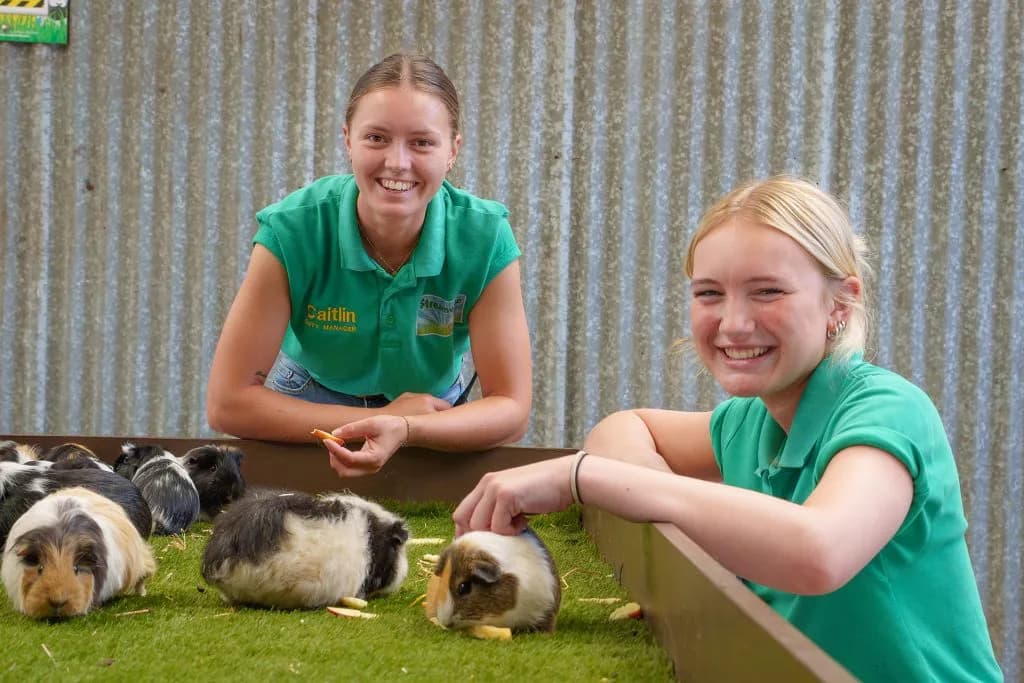 Streamvale Open Farm, Dundonald