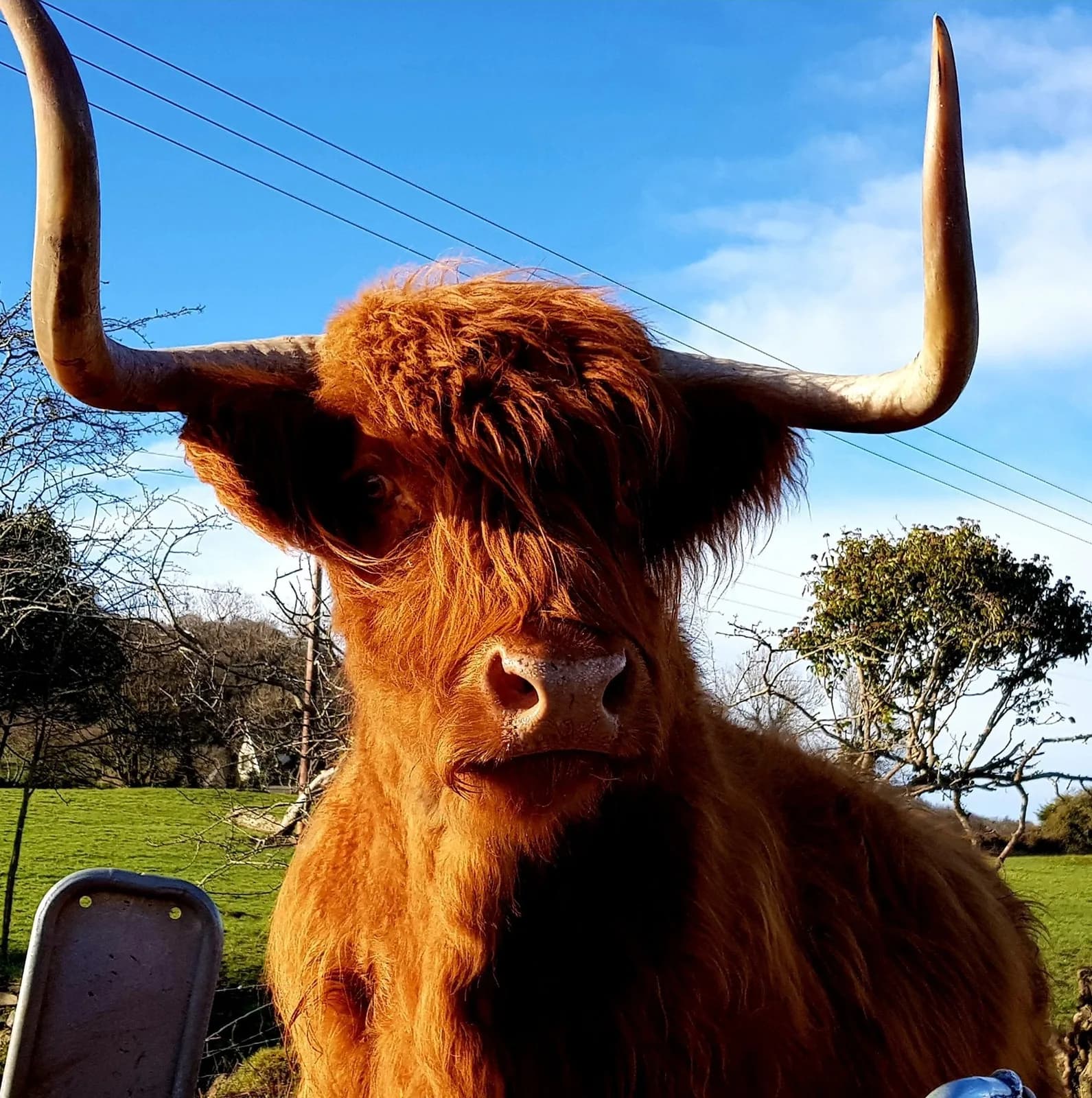The Ark Open Farm, Newtownards