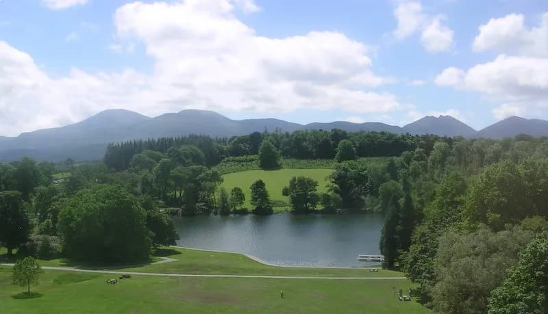 Castlewellan Forest Park, Castlewellan
