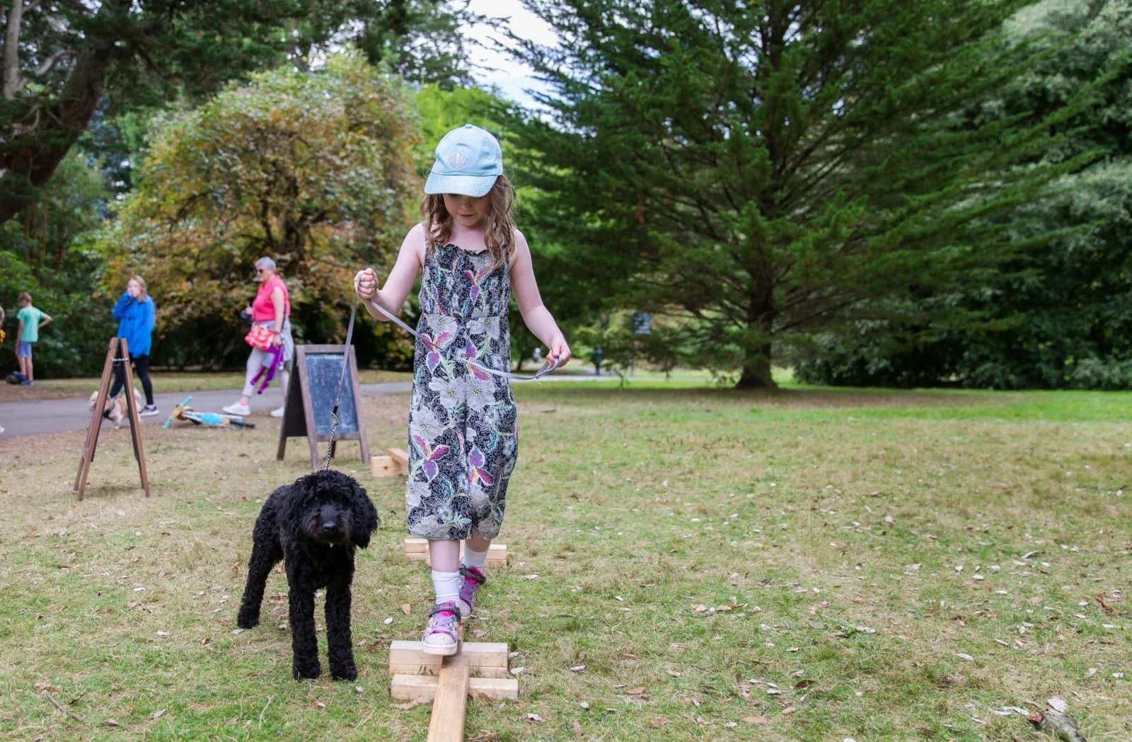 Families exploring summer activities and the natural play area at Mount Stewart, Newtownards