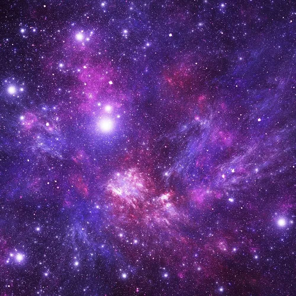 Planetarium starry night sky show at Dynamic Earth