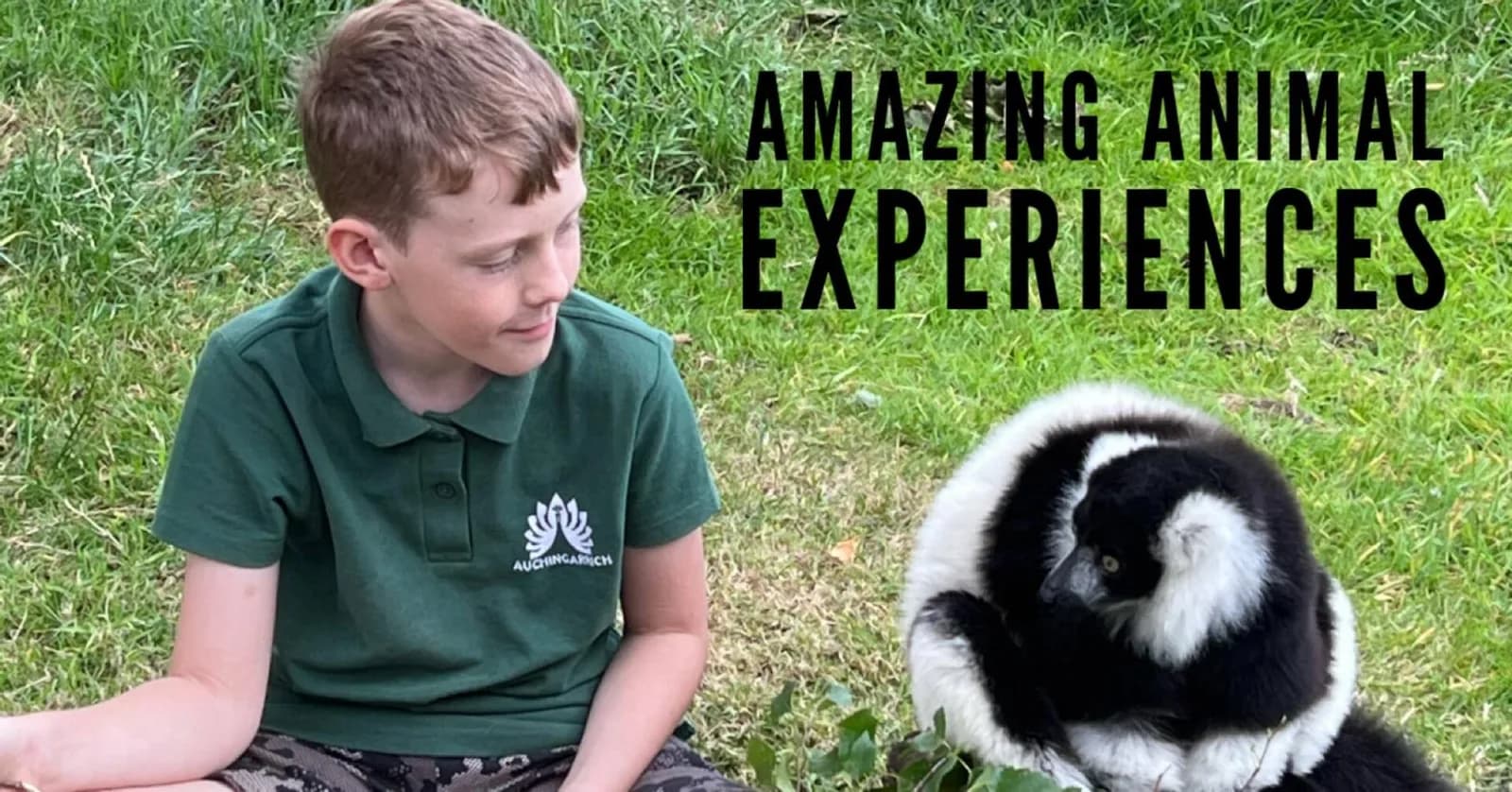 Auchingarrich Wildlife Park, Perthshire