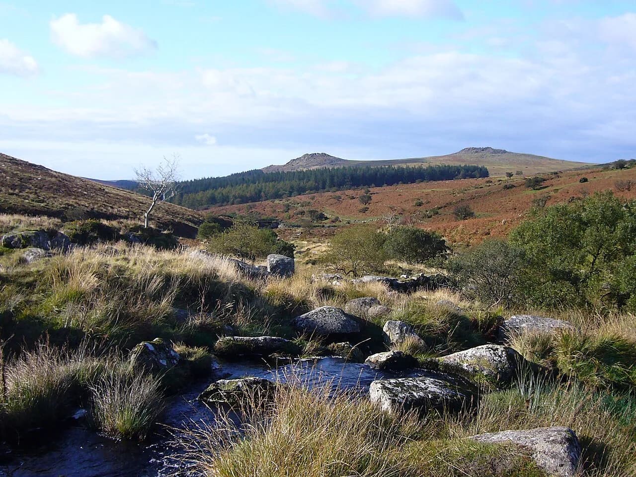 Dartmoor National Park, Dartmoor
