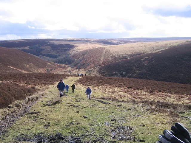 Malmsmead Hill on Exmoor, a green moorland landscape with rolling hills