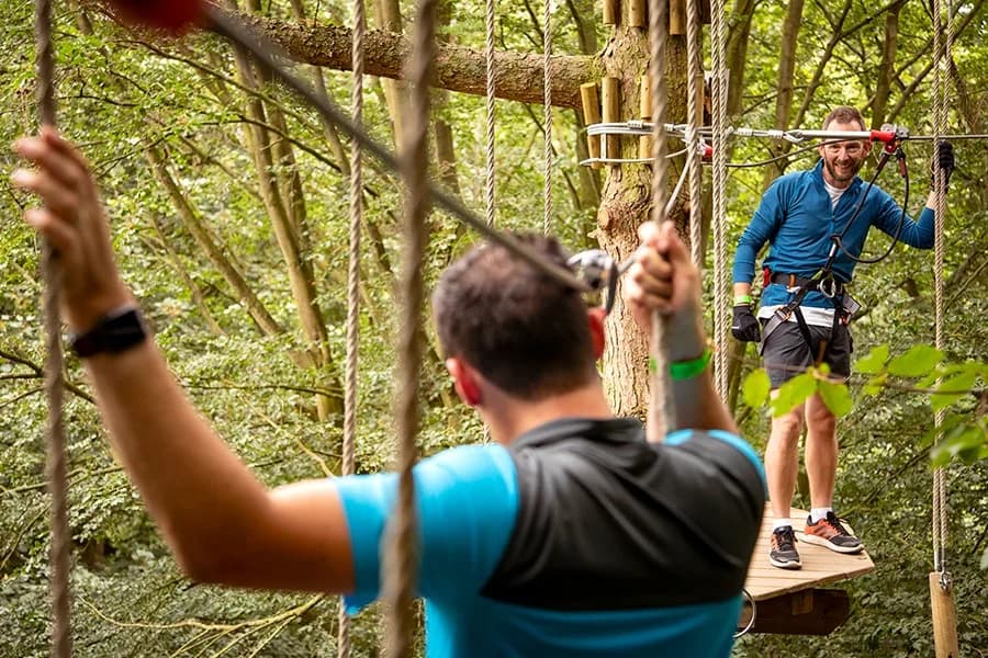 Go Ape Bedgebury, Cranbrook