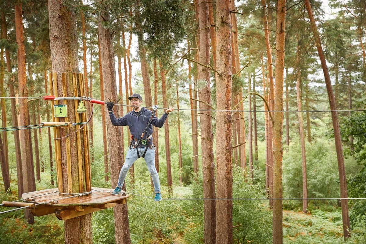 Go Ape Alice Holt, Farnham