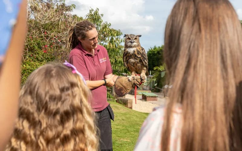 Keeper talk with an owl at Monkey Haven primate rescue centre