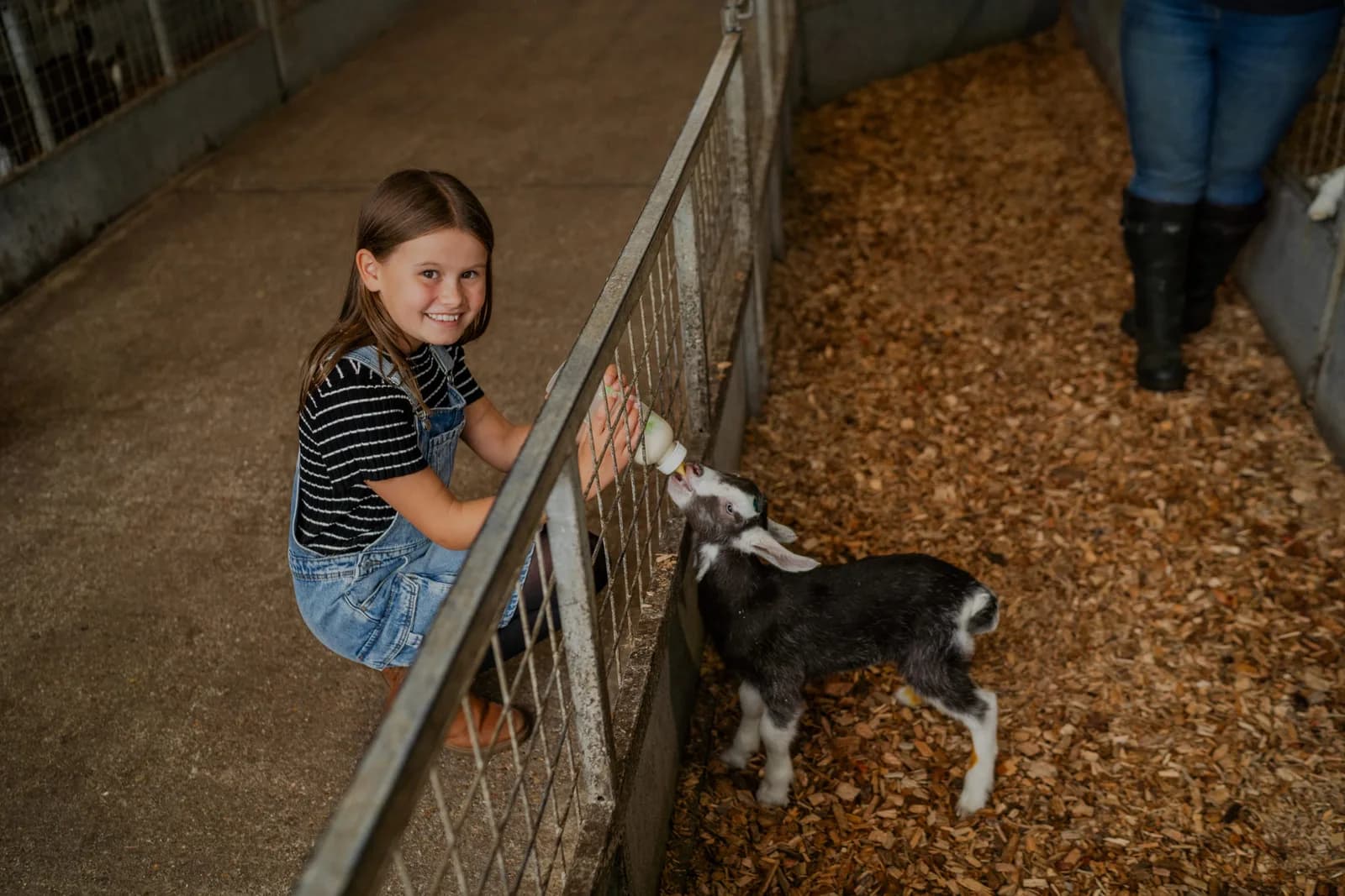 Longdown Activity Farm outdoor play area